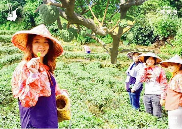 民眾黨立委陳琬惠
