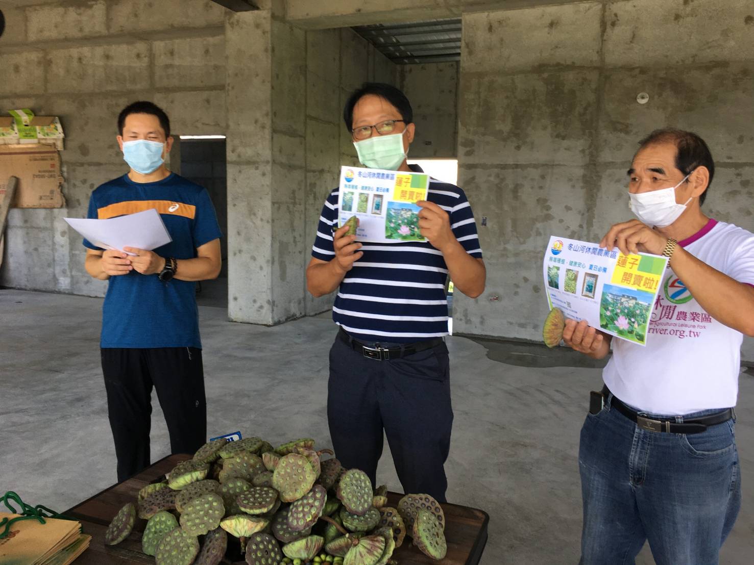 冬山荷花蓮子盛產