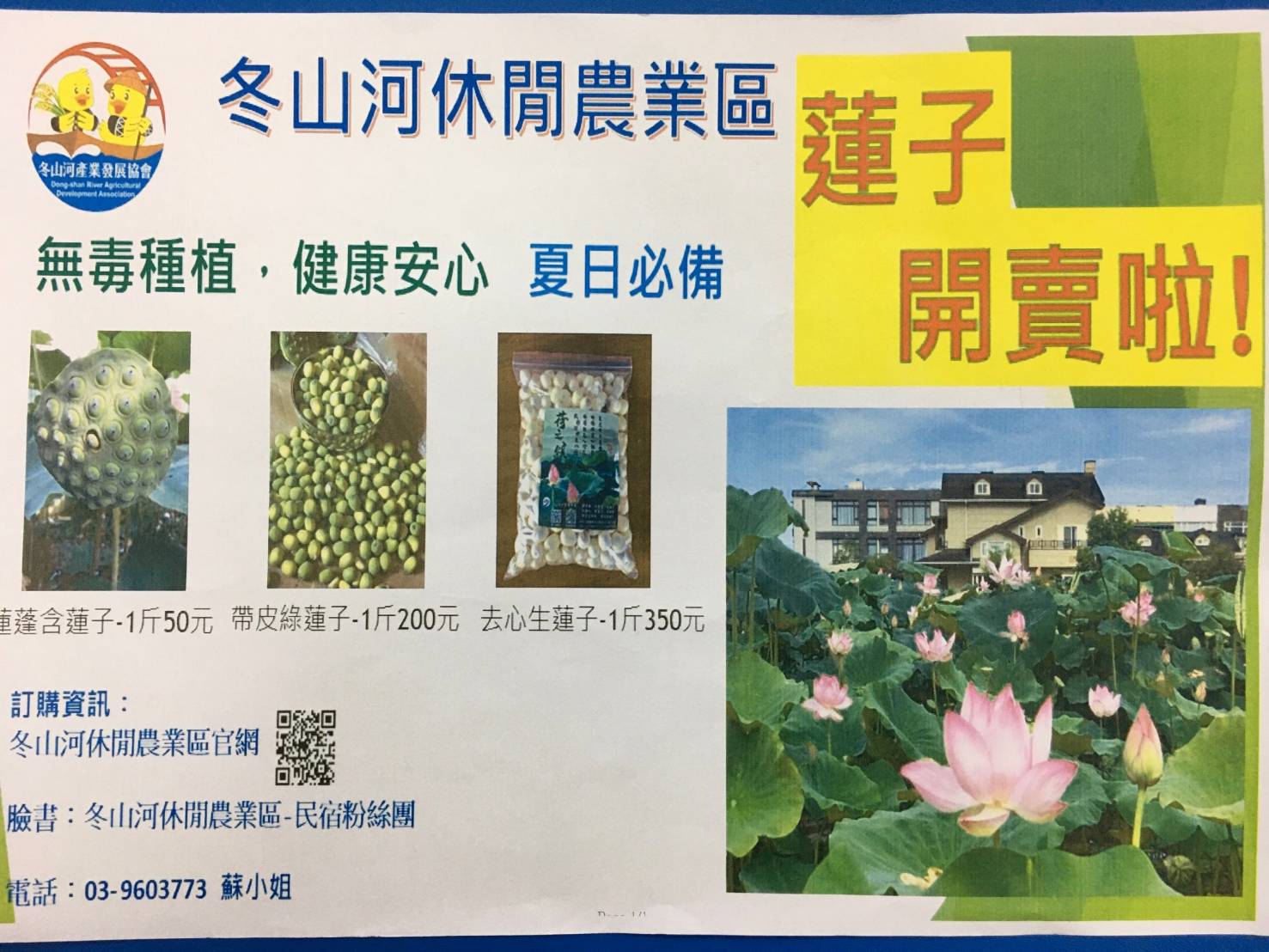 冬山荷花蓮子盛產