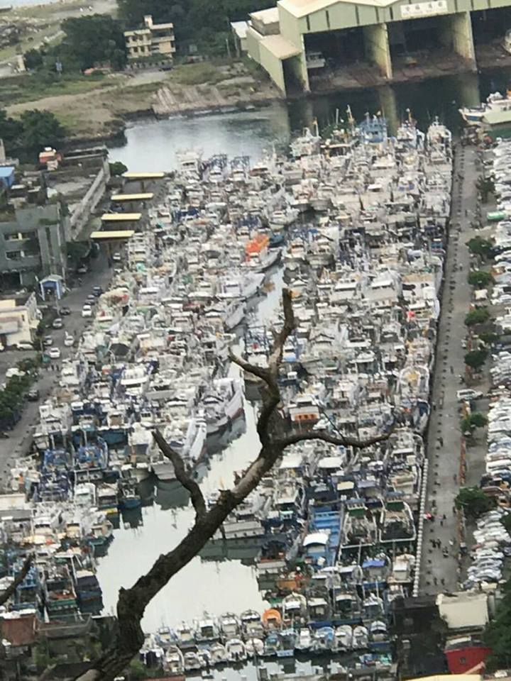 漁港内擠滿漁船的奇景