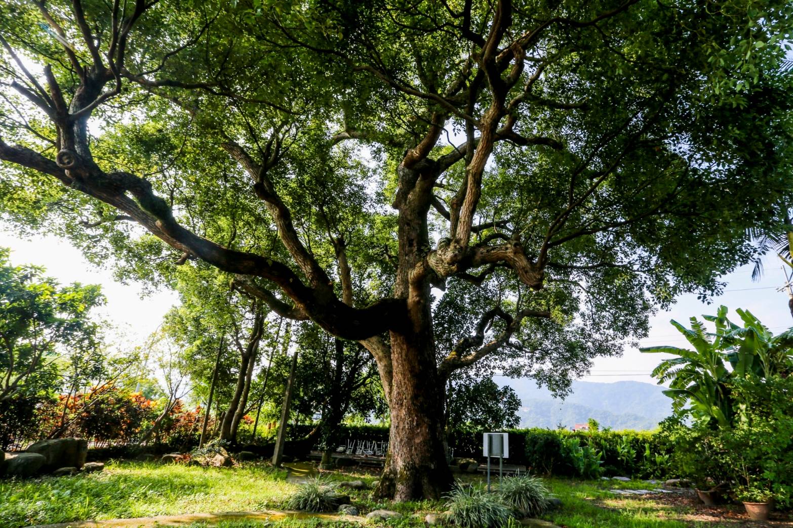 三星4/23舉辦樂活健走