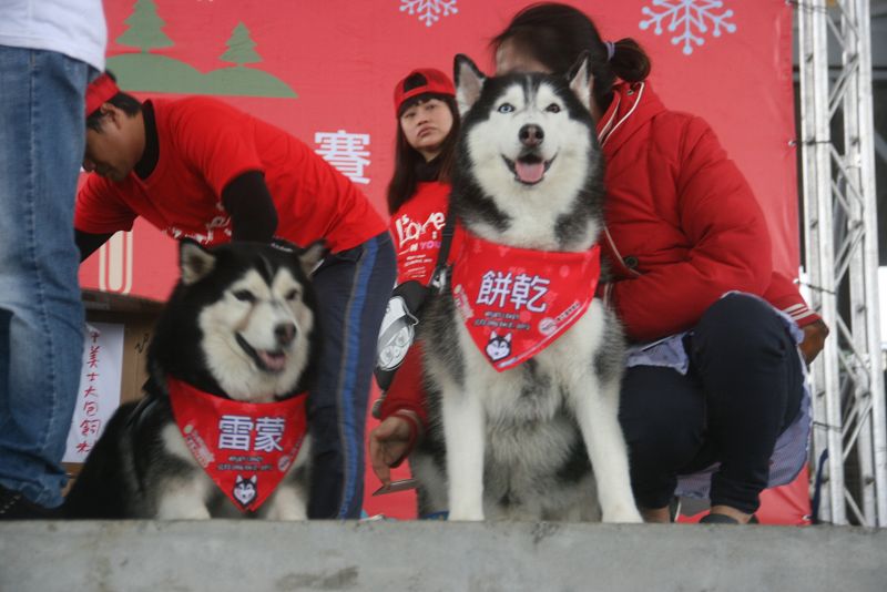 每位狗狗主人都會為自已愛犬取個很萌的名字