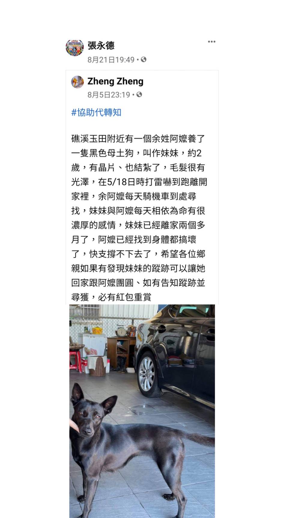 老阿嬤尋狗