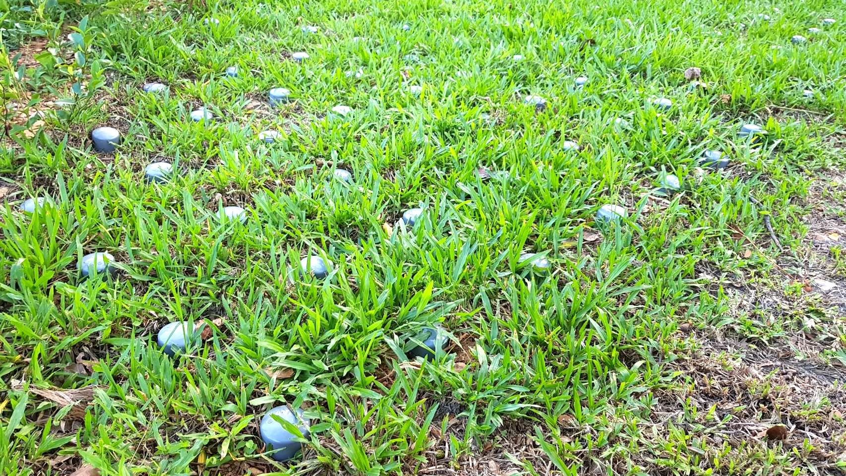 縣府在蘇澳軍人公墓設「環保自然葬區」