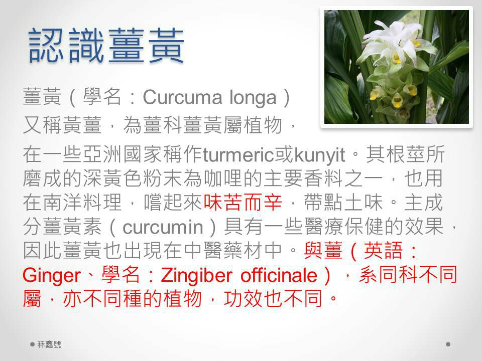 神奇的薑黃 背後傳奇故事