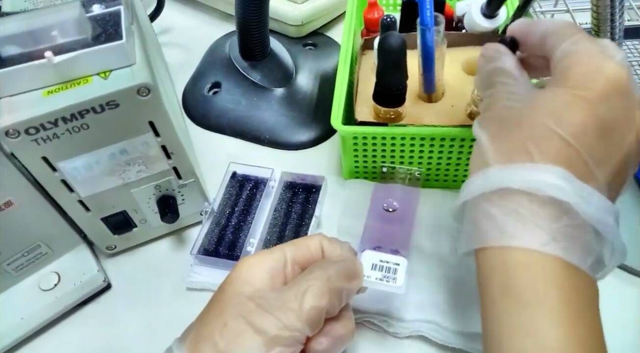 220秒影片透視檢體 認識正確醫療幕後功臣
