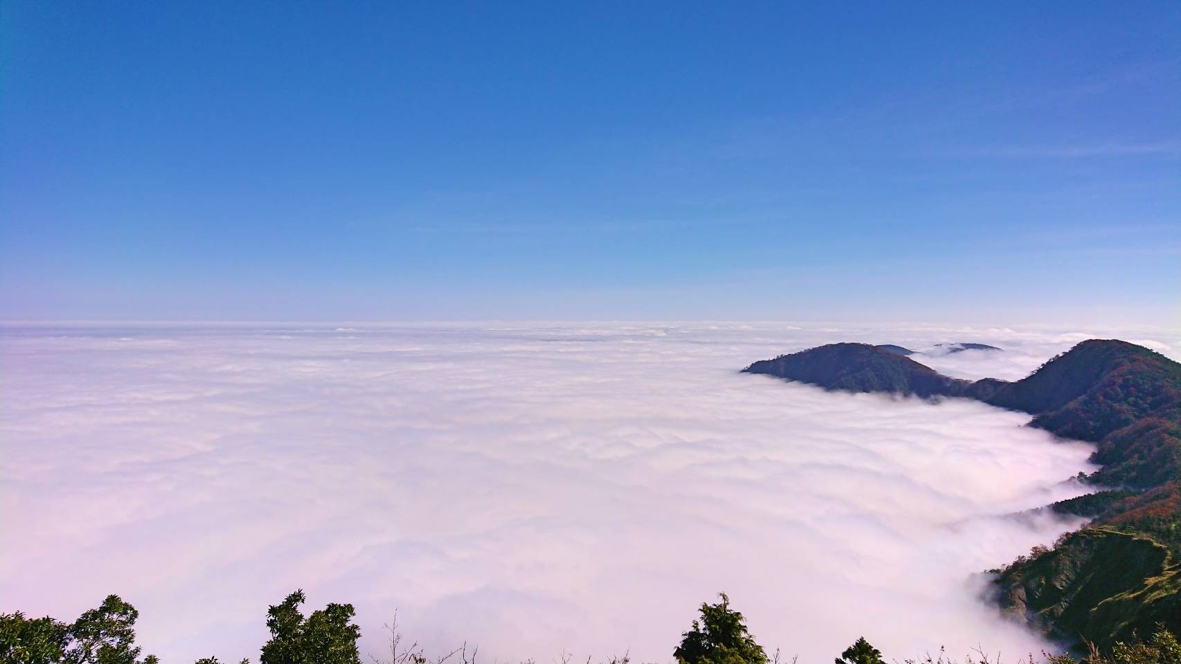 雲海、山毛櫸之美 盡在太平山