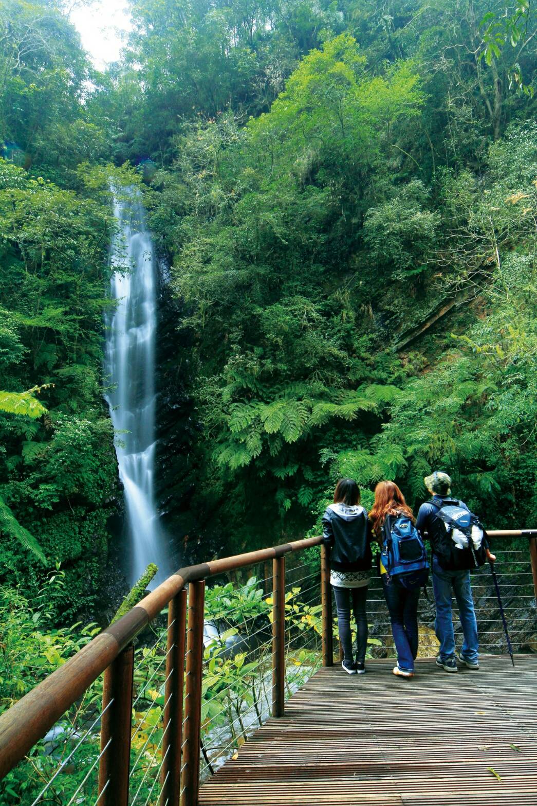 太平山國家森林遊樂區 預定26日星期一上午8點開園