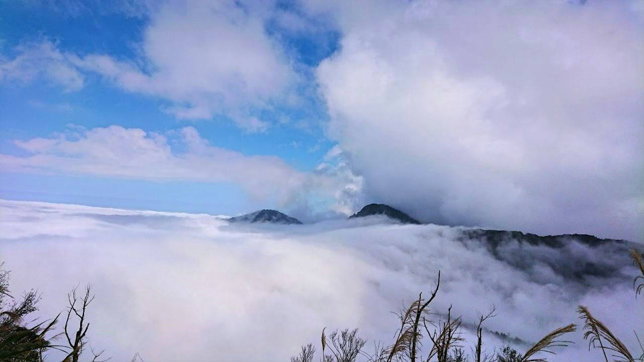 上太平山正逢時 台灣山毛櫸步道黃金生態之旅