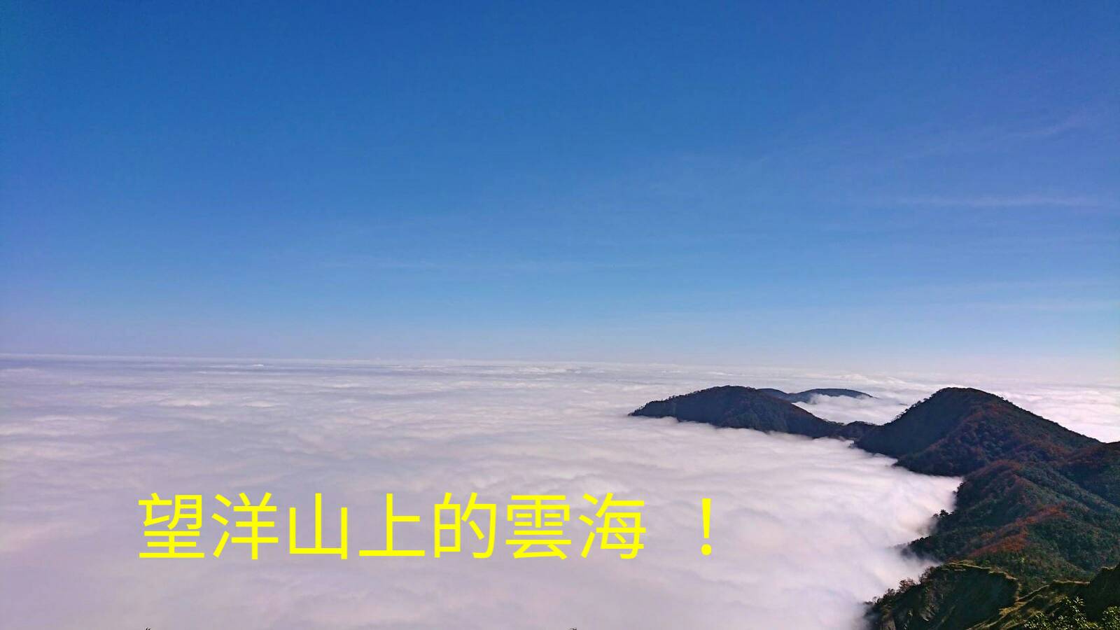 雲海、山毛櫸之美 盡在太平山