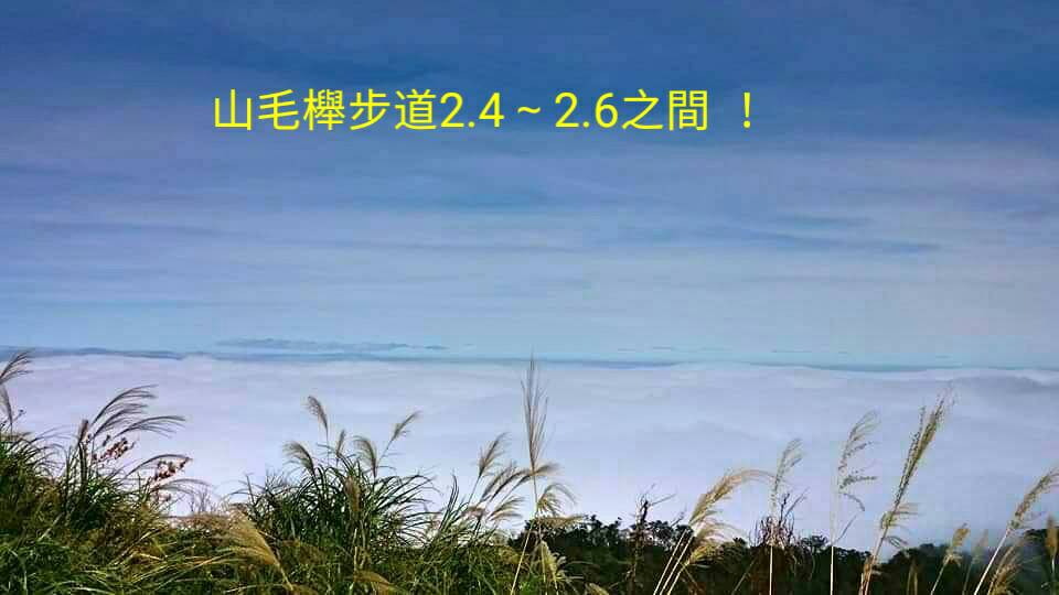 雲海、山毛櫸之美 盡在太平山