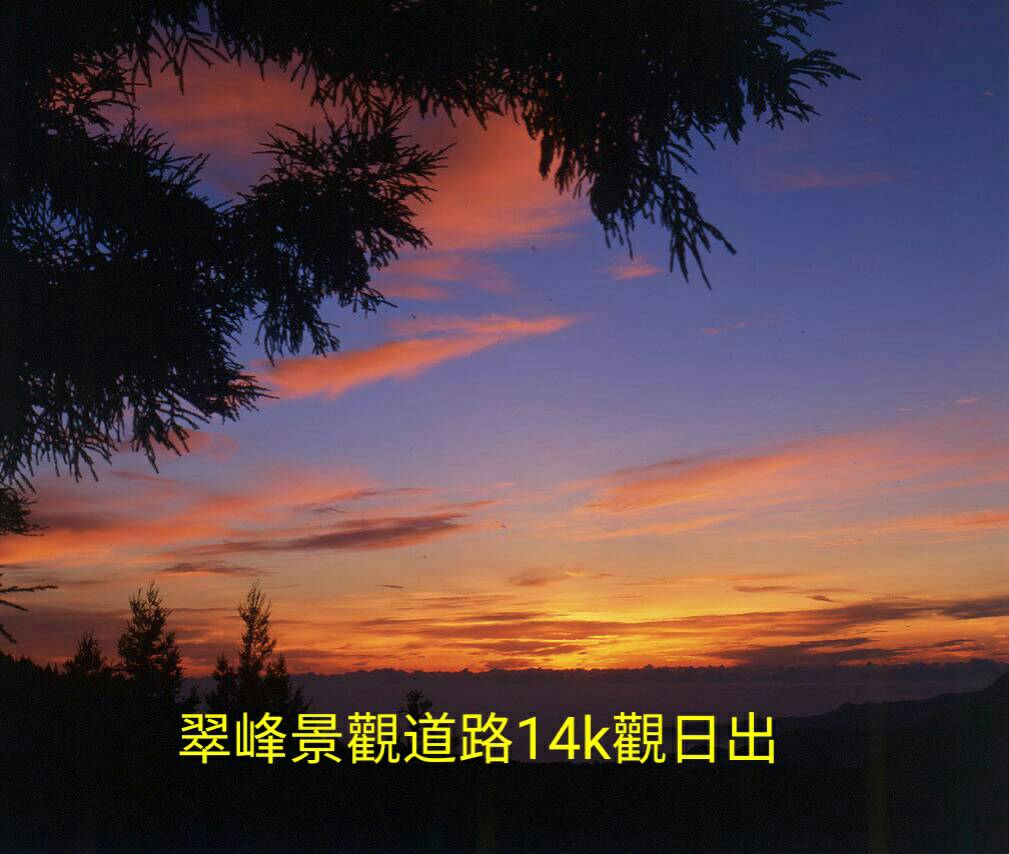 雲海、山毛櫸之美 盡在太平山