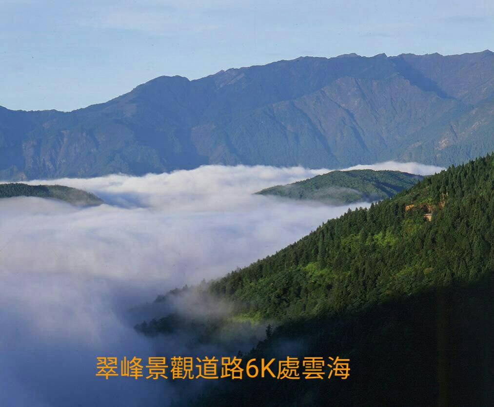 雲海、山毛櫸之美 盡在太平山