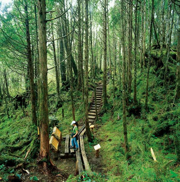 翠峰湖蒙上矇矓薄紗 冬季限定美景登場