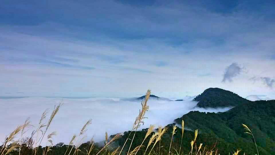 翠峰湖蒙上矇矓薄紗 冬季限定美景登場