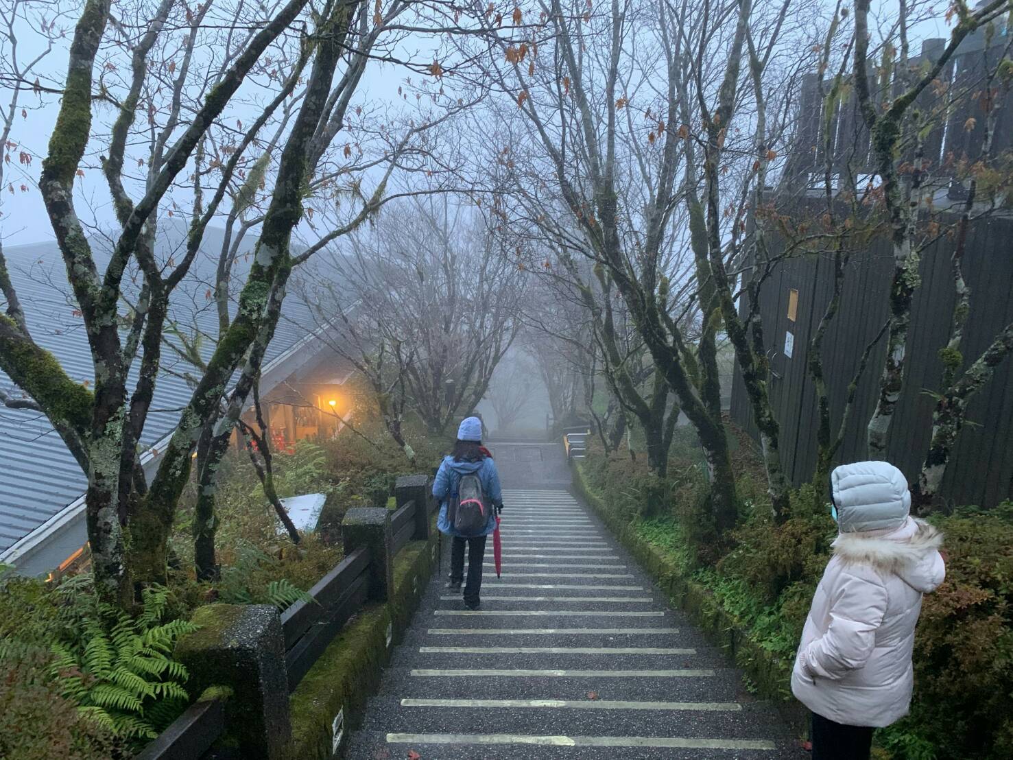 	周休假期 太平山會否飄雪?