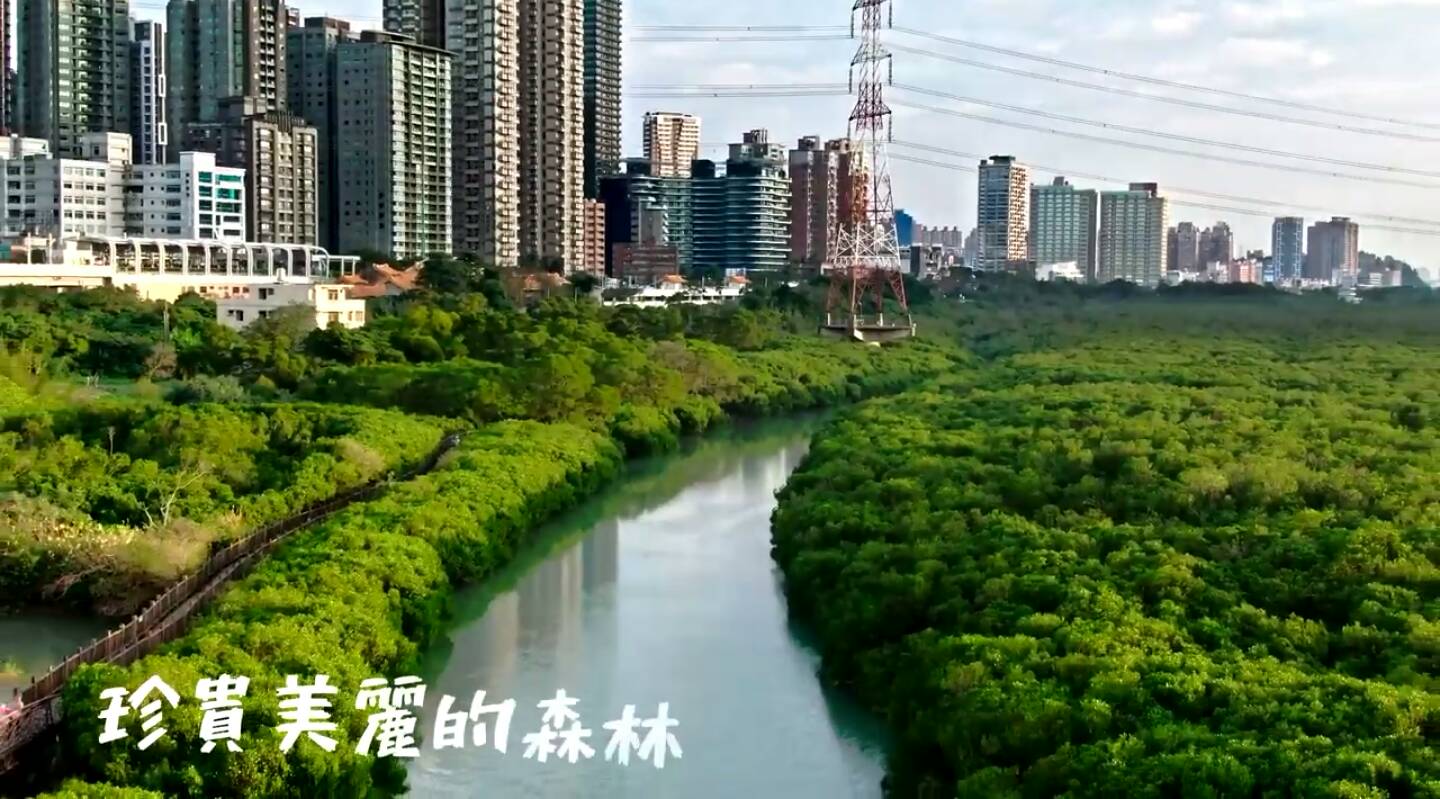 羅東林管處邀您 免費漫遊淡水紅樹林步道