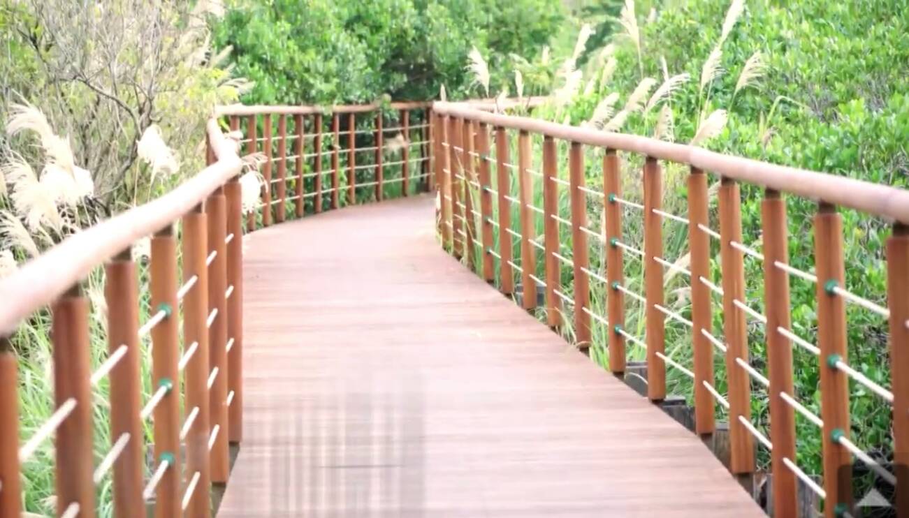 羅東林管處邀您 免費漫遊淡水紅樹林步道