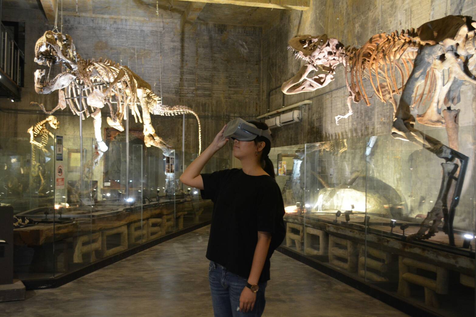 亞洲第一暴龍化石真跡落腳宜蘭 『Robert Y 瘋狂夢想藝術園區』開幕了