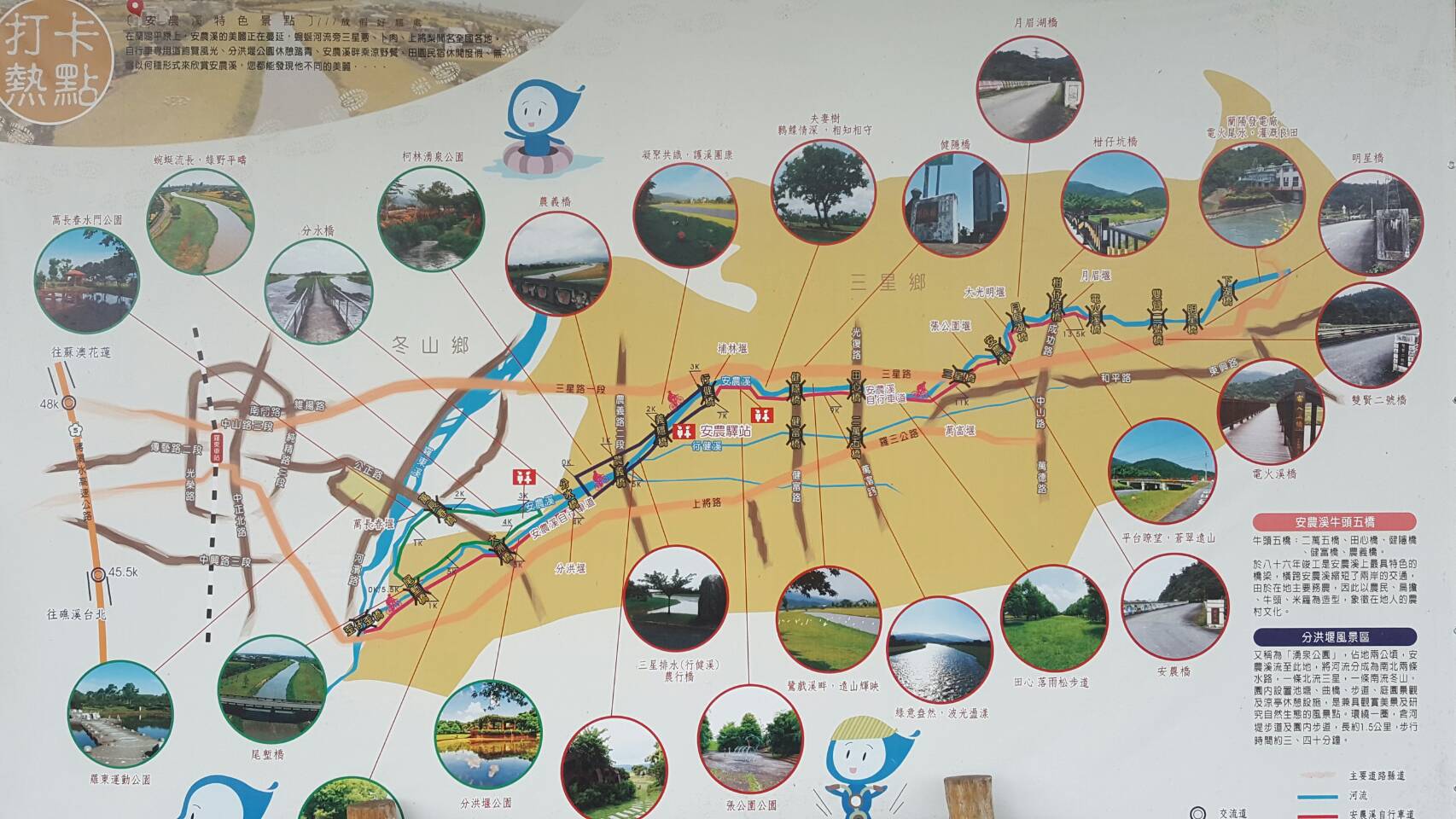 貓熊出沒竟成網紅 三星安農溪畔打卡新景點