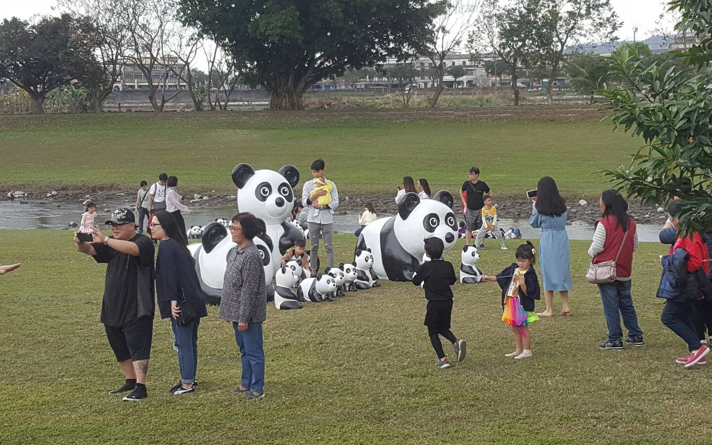 貓熊出沒竟成網紅 三星安農溪畔打卡新景點