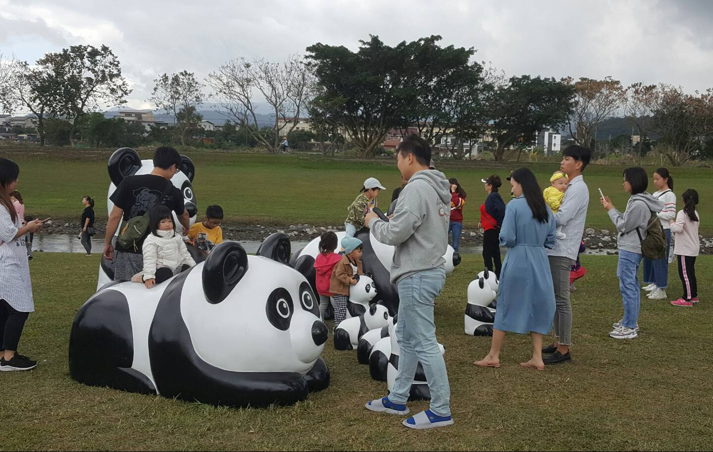 貓熊出沒竟成網紅 三星安農溪畔打卡新景點