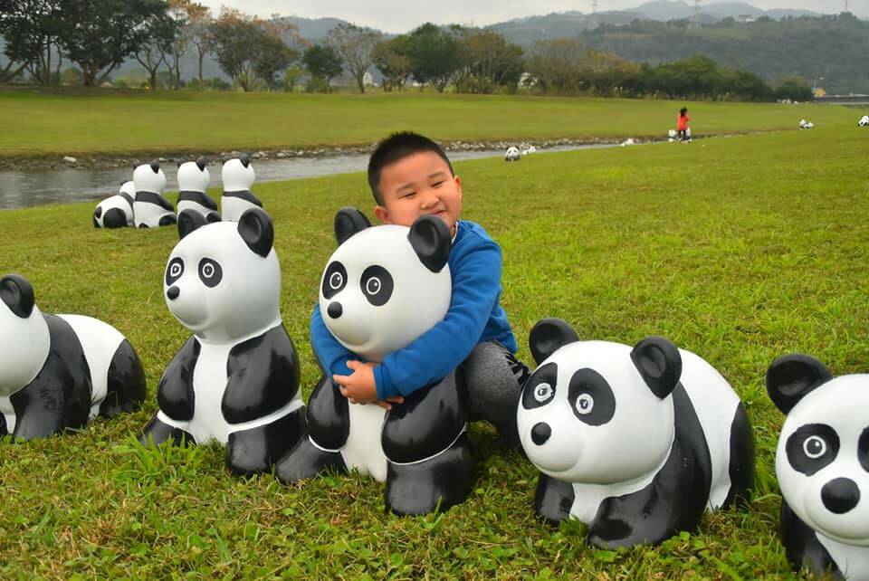 貓熊出沒竟成網紅 三星安農溪畔打卡新景點