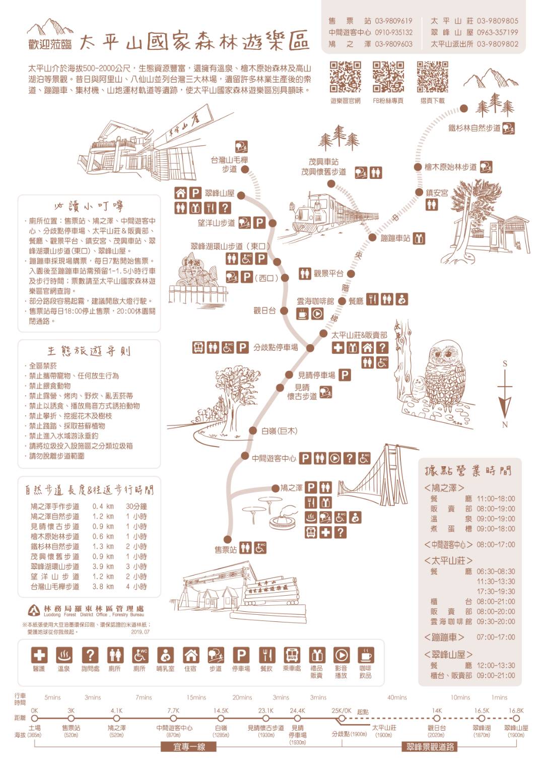 太平山「山毛櫸黃金林」正夯 如何玩最安全又舒暢