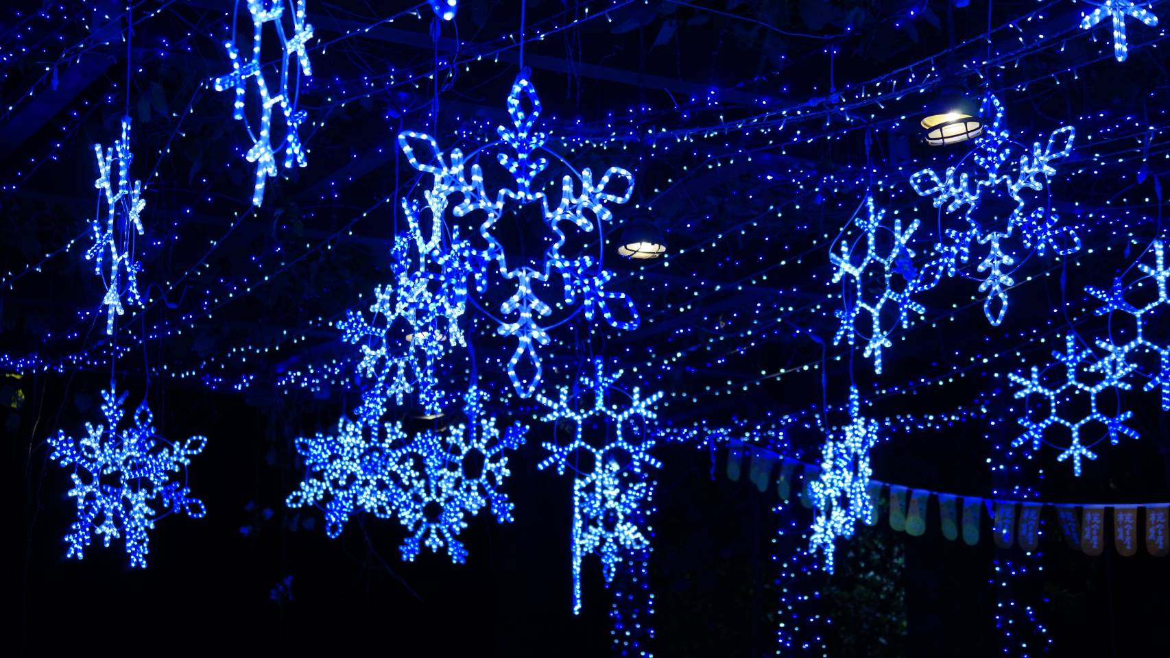 中興文創越夜越美麗