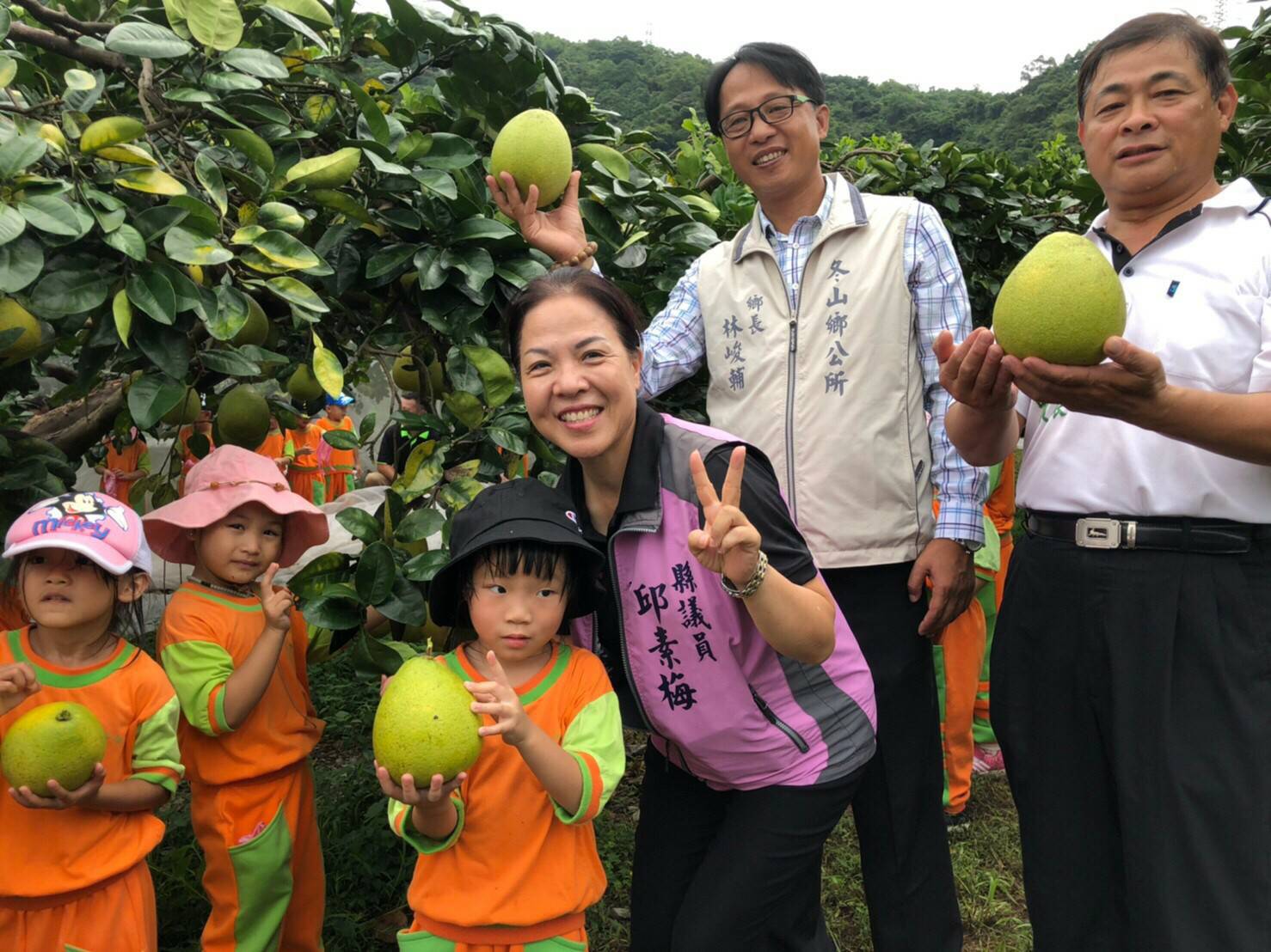 冬山文旦柚細緻多汁蓋好吃