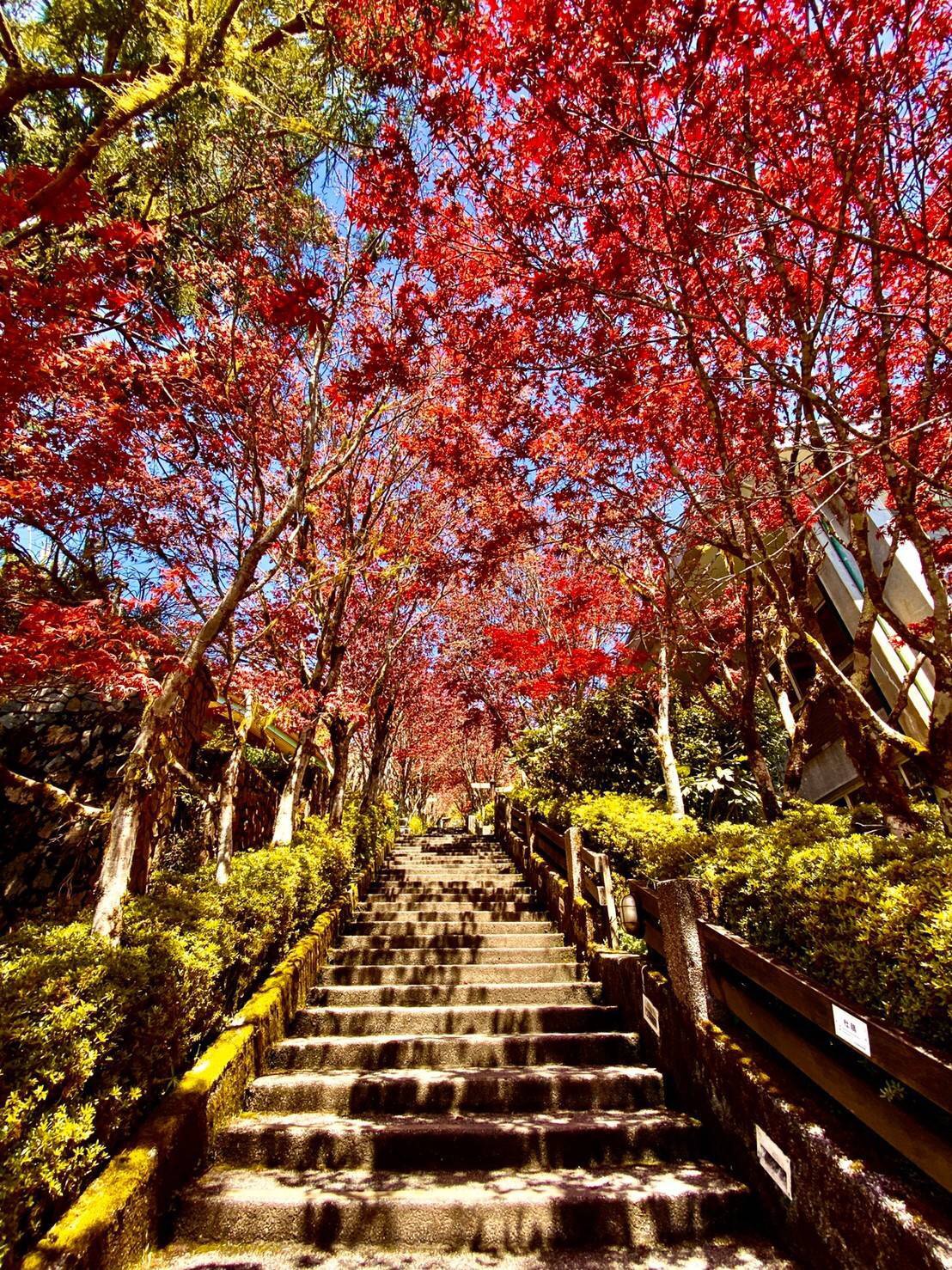 太平山及林管處