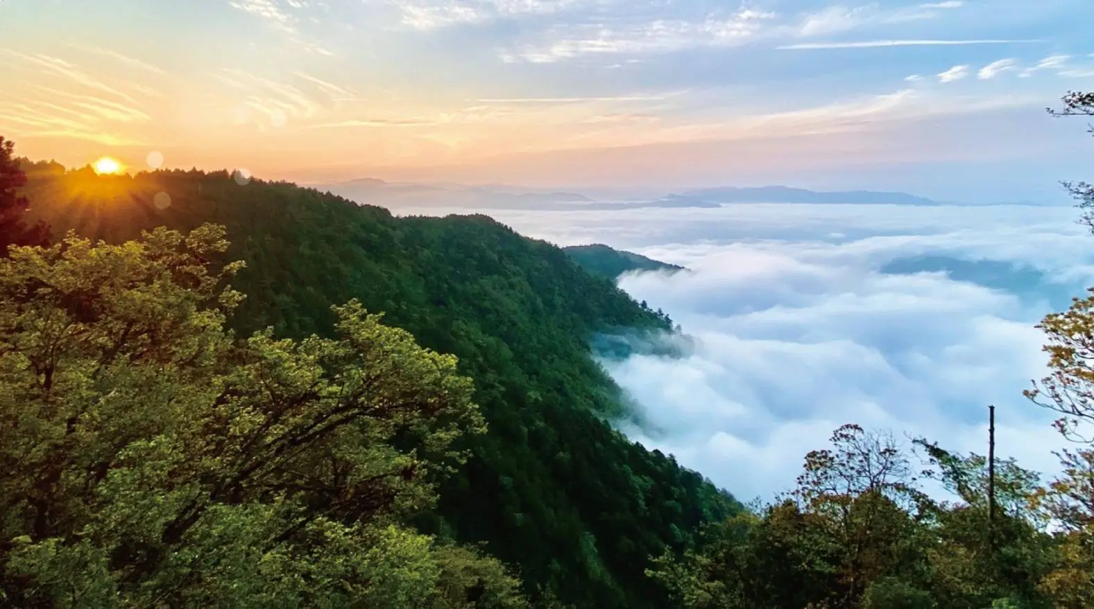 太平山國家森林遊樂區