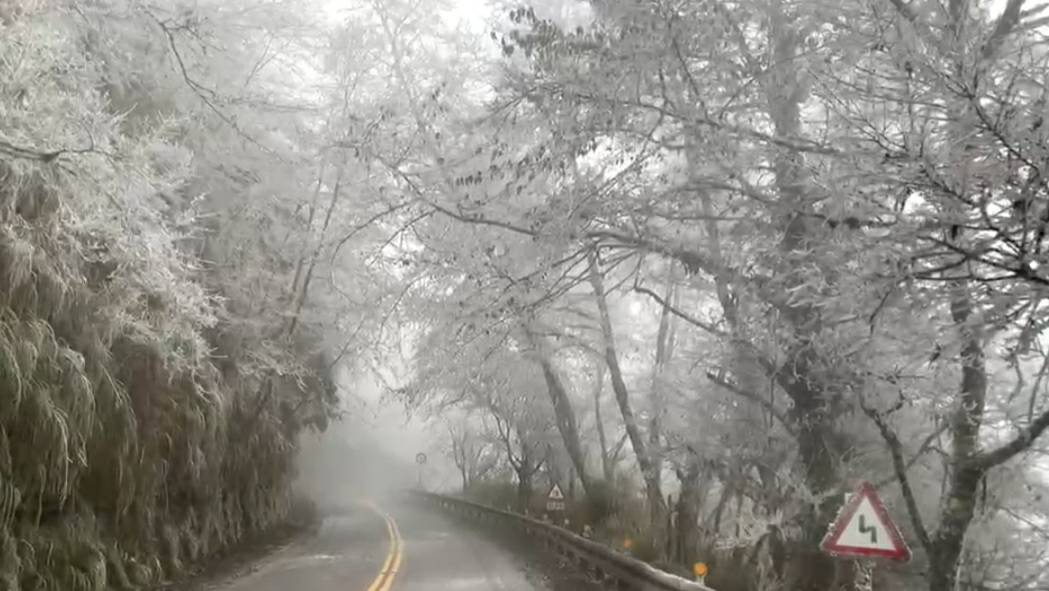 太平山森林公園氣溫驟降零下