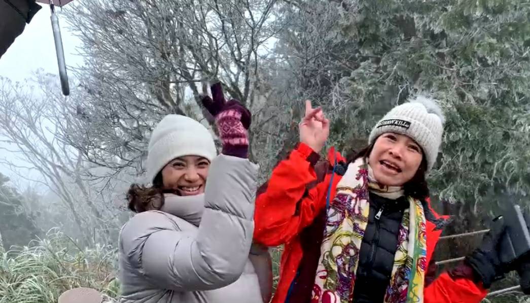 太平山森林公園氣溫驟降零下