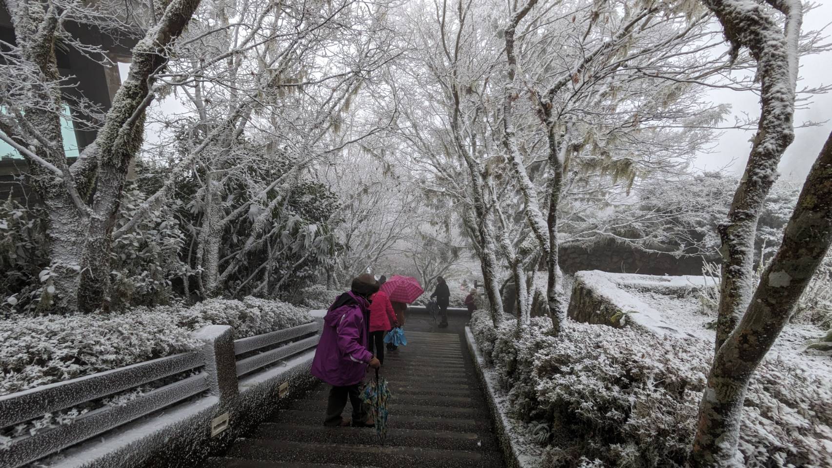 太平山森林遊樂區