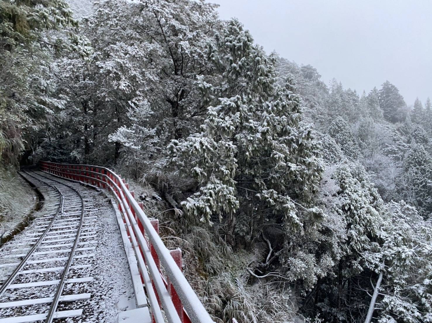 太平山國家森林遊樂區