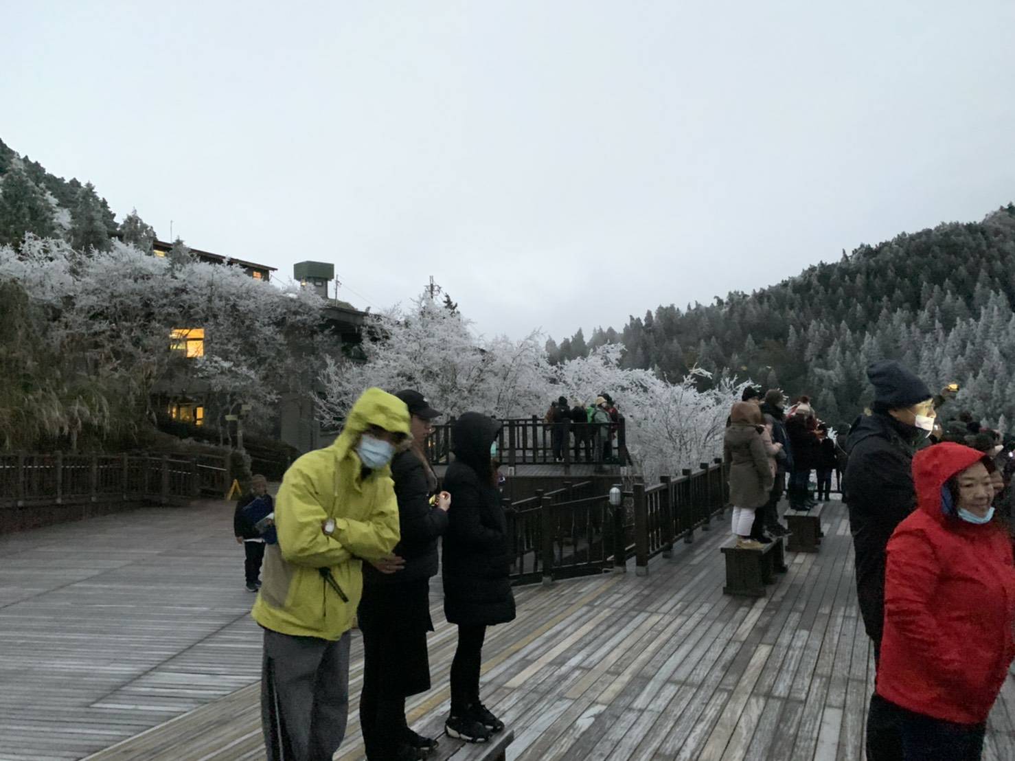  太平山森林遊樂區午後限制遊客入園