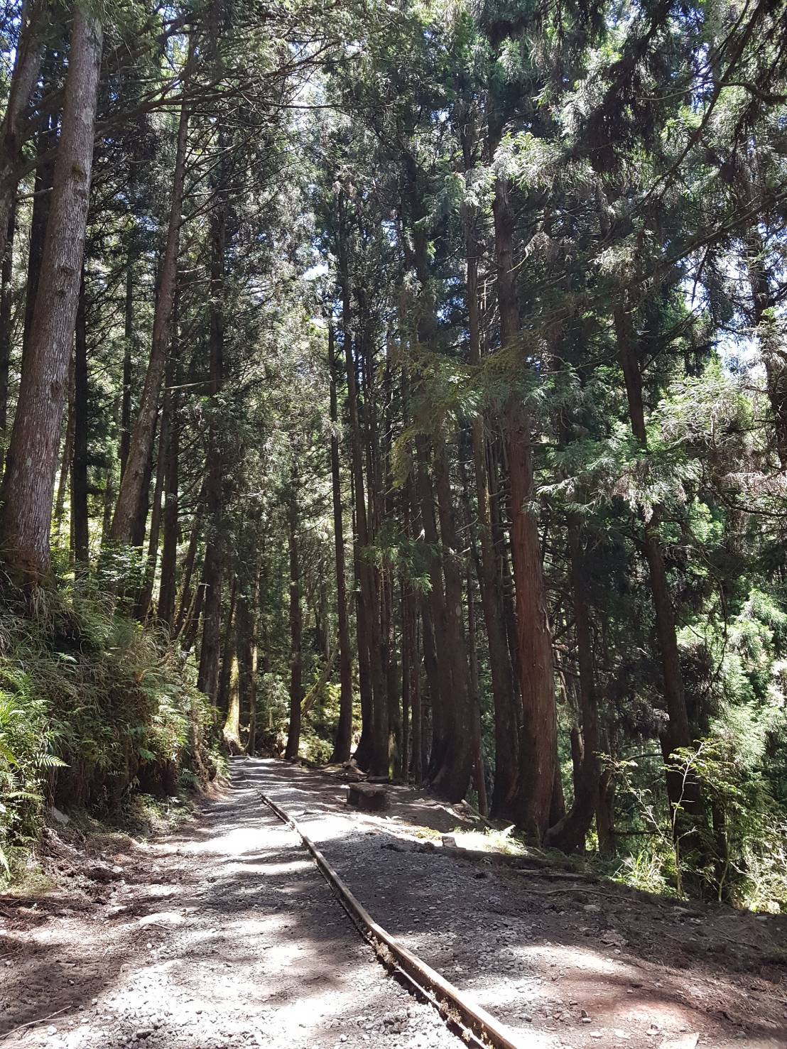 太平山等多育樂場域暫時封閉