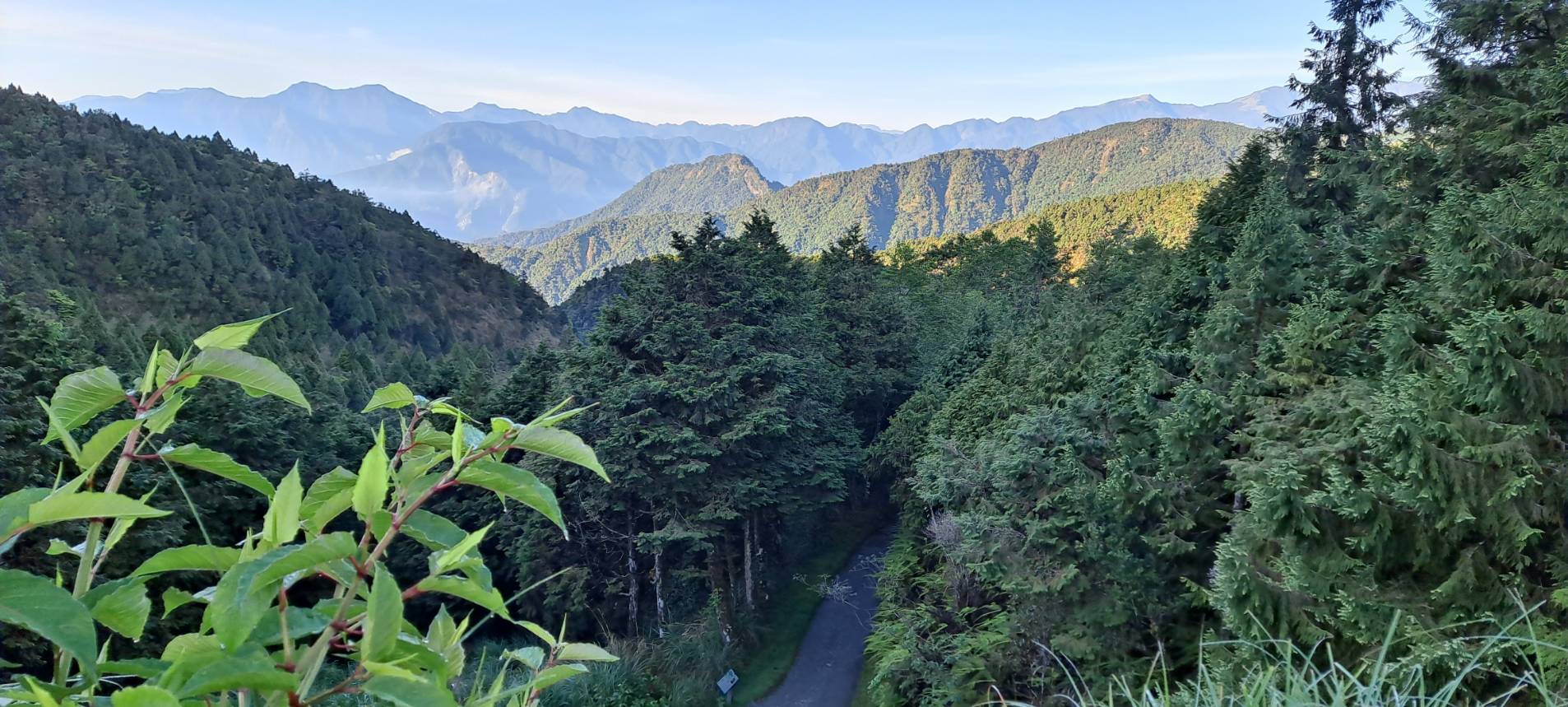 太平山等多育樂場域暫時封閉