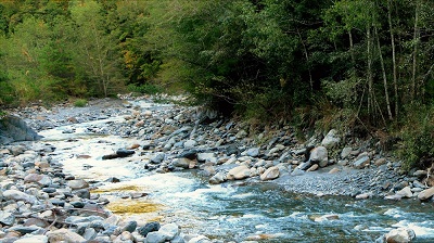 可能您還不知道12處國家森林遊樂區可任選1處免費入園