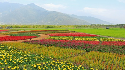 可能您還不知道12處國家森林遊樂區可任選1處免費入園