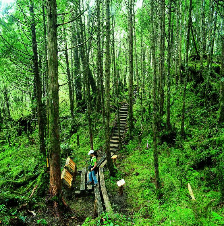 可能您還不知道12處國家森林遊樂區可任選1處免費入園
