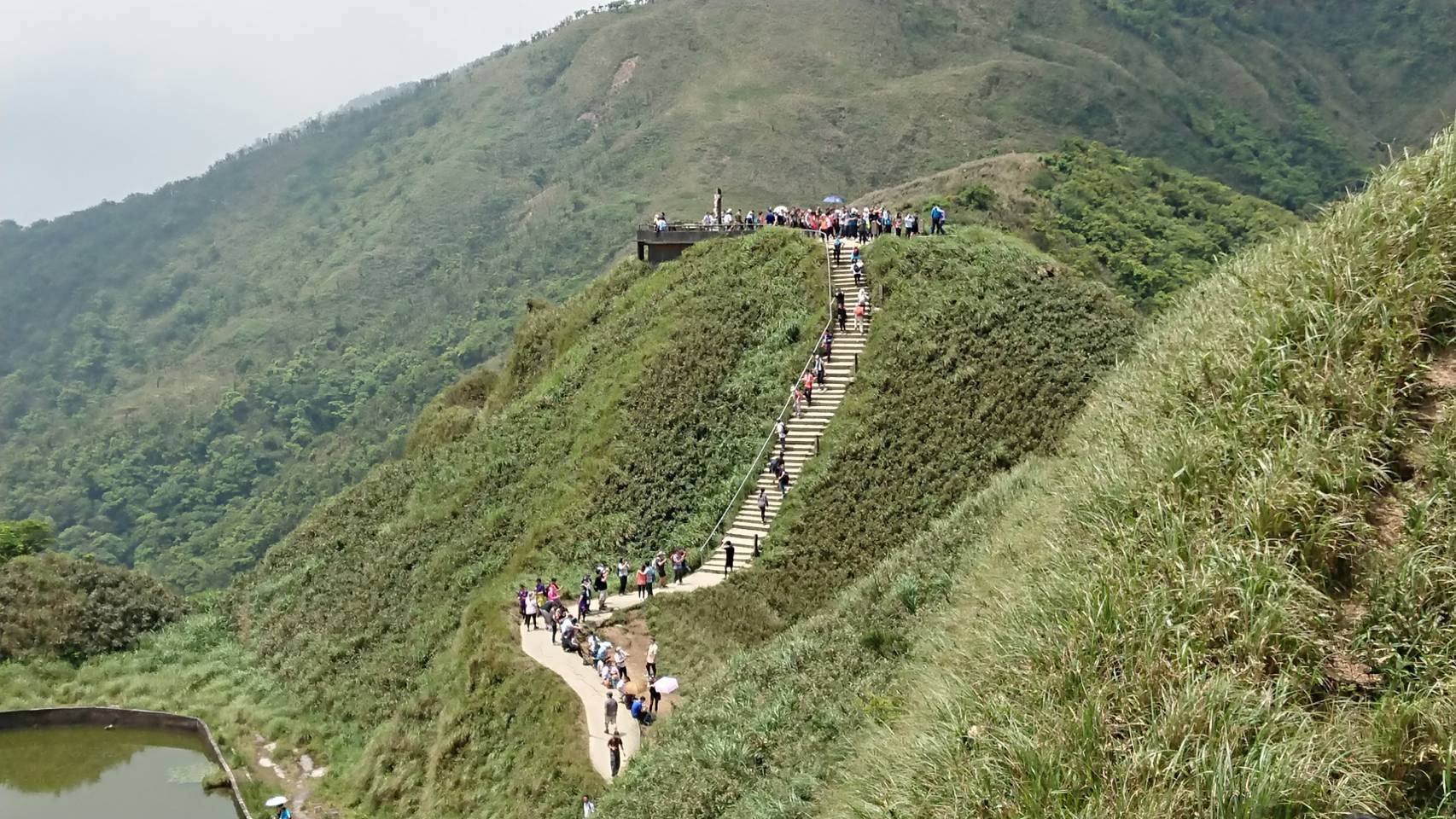 林務局部分森林場域