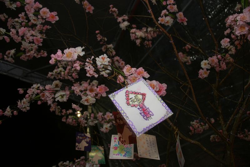 櫻花樹下繫上祈願卡心想事成