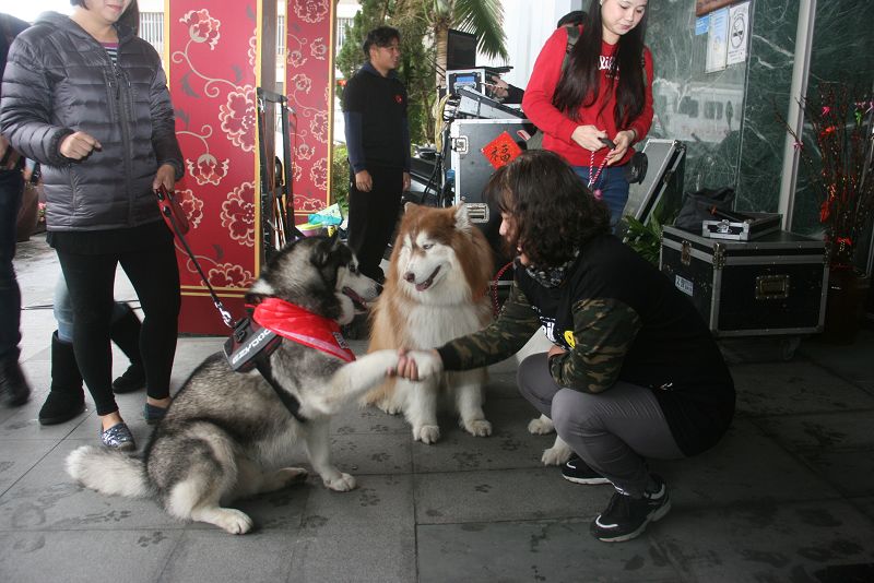 哈土奇親熱與民眾握手說哈囉