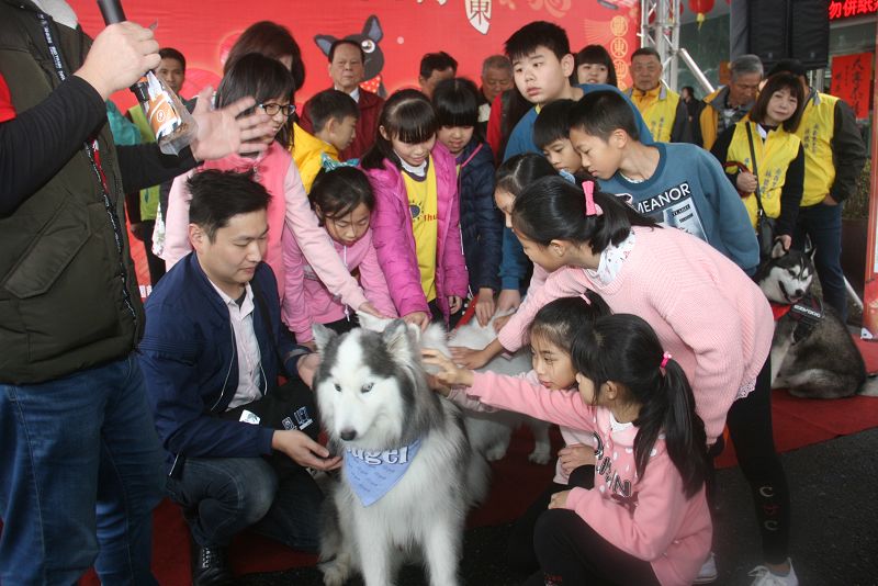 摸狗好運旺旺來