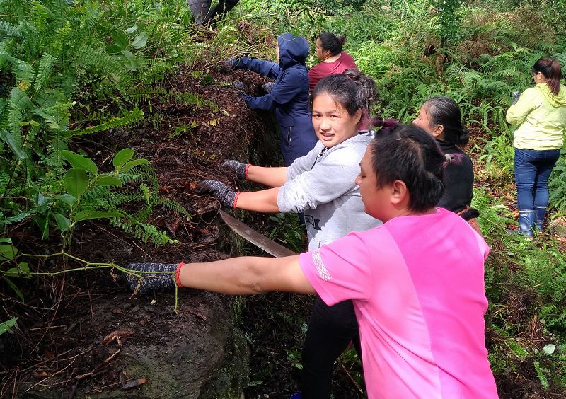 楠子駐在所遺蹟修復工作，歡迎民眾報名參加