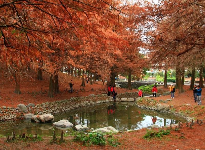 置身羅東運動公園讓人流連忘返