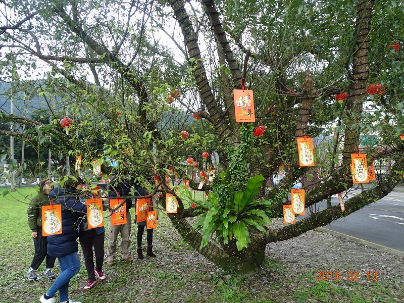 蘇澳鎮公所前樹木繫滿祈福卡