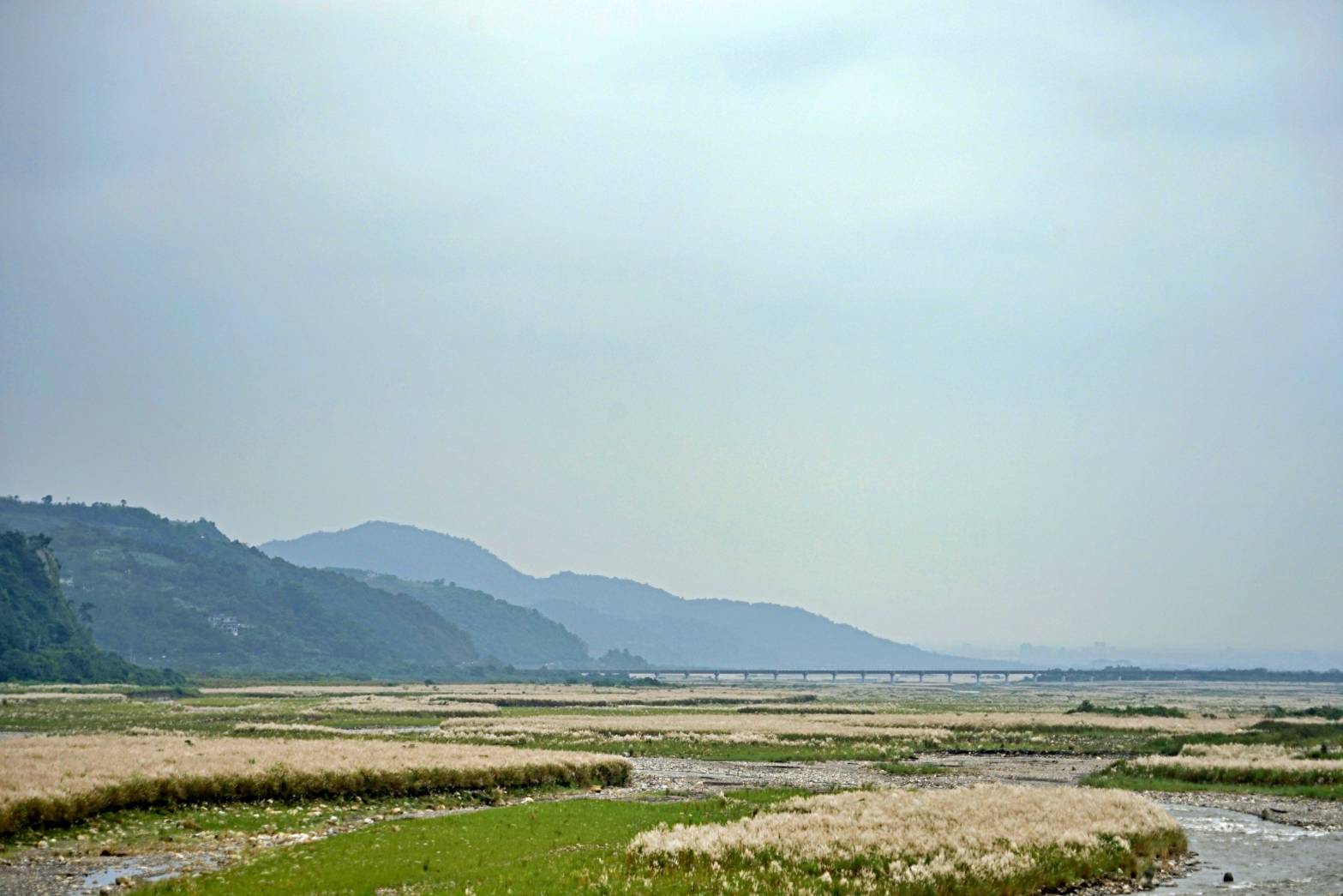 白色地毯芒花絕景